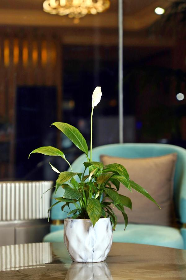 Blusalzz Residence Amritsar Bagian luar foto